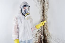 Forensic Mold Investigation in Wesley Chapel, NC